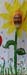 flower13