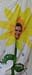 flower14
